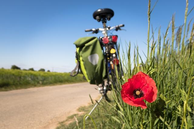 Novoluní: Jaké jsou jeho cykly a jak se na ně připravit?