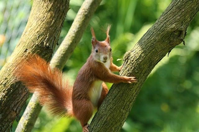 Jak naplánovat pozorování⁣ úplňku tak, aby trval co nejdéle